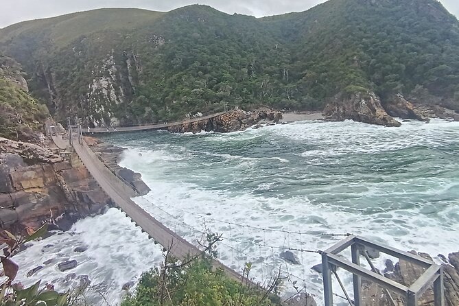1 Day Garden Route Tour: From Port Elizabeth to the Crags - What To Bring For This Garden Route Day: Shoes, Sun, And A Jacket