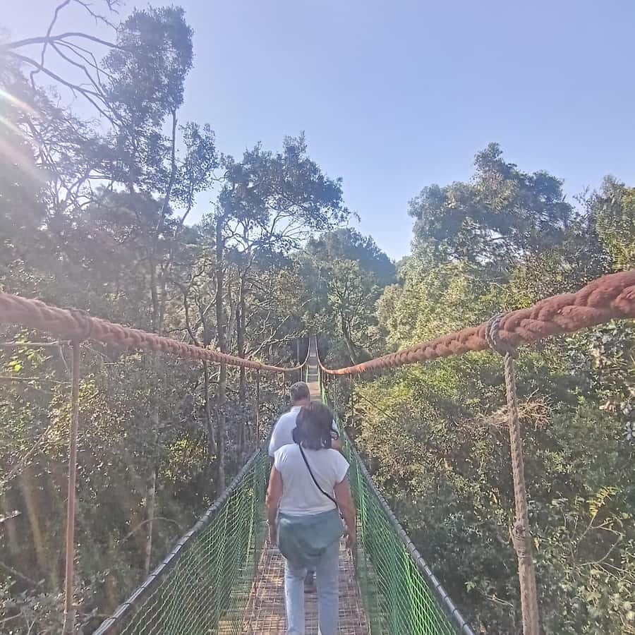 1 Day Garden Route Tour: From Port Elizabeth to the Crags - Who Should Book This Tour, And Who Should Skip It