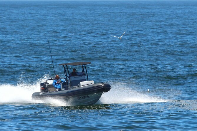 1 Day Whale Watching at Yzerfontein - Meganova on the water: speed, safety, and a boat built for whale time