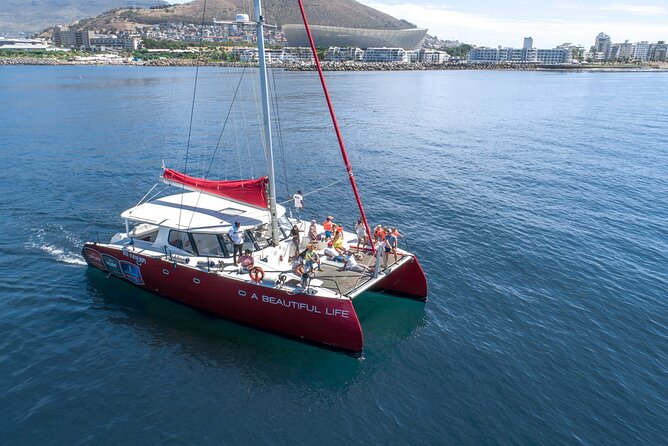 1- Hour Catamaran Cruise Cape Town - Onboard Comfort and the Catamaran Experience on A Beautiful Life