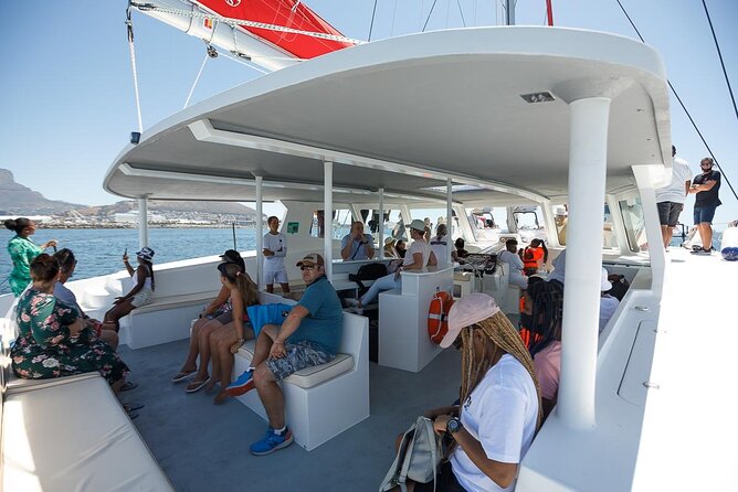 1- Hour Catamaran Cruise Cape Town - Time on the Water: How to Make This Hour Count