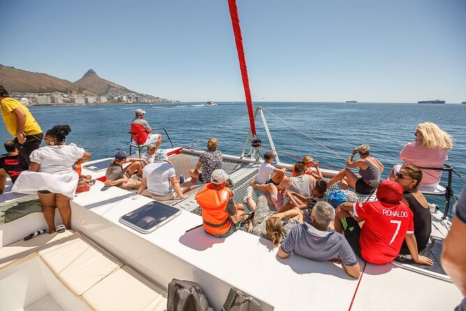 1- Hour Catamaran Cruise Cape Town - Price and Value: What $18.98 Gets You (and What It Does Not)