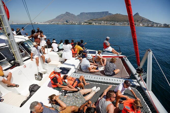 1- Hour Catamaran Cruise Cape Town - Should You Book This Cape Town Catamaran Cruise?