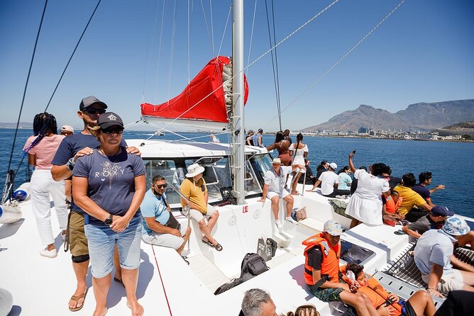 1- Hour Catamaran Cruise Cape Town - The Views You Actually Came For: Table Mountain, Table Bay, and Robben Island