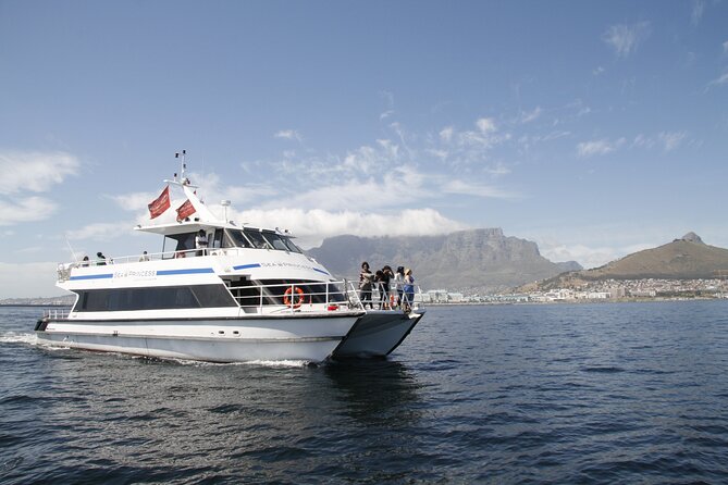 1 Hour Coastal Catamaran Cruise from Cape Town - Route That Packs Big Views Into One Hour