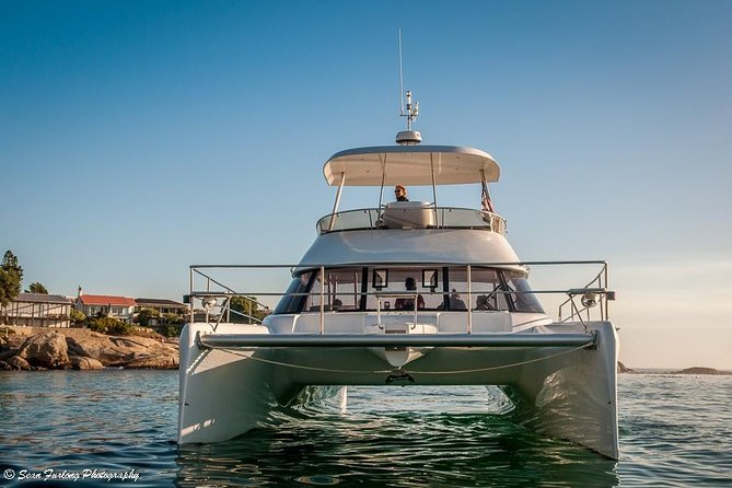 1 Hour Coastal Catamaran Cruise from Cape Town - Table Mountain Views That Feel Like Cape Town’s Best Detour