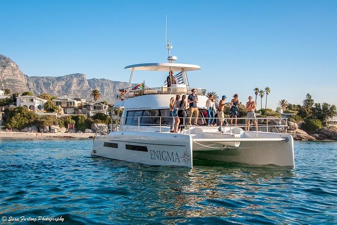 1 Hour Coastal Catamaran Cruise from Cape Town - Sea Life Chances, and How the Crew Usually Works the Moment