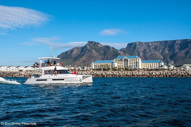 1 Hour Coastal Catamaran Cruise from Cape Town - Crew, Safety Feel, and the On-Board Mood