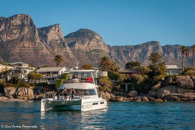 1 Hour Coastal Catamaran Cruise from Cape Town - One-Hour Timing: Why This Works Better Than You Think