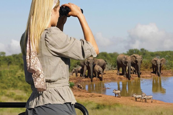 10 Day Cape & Garden Route Tour Combo with add-on accommodation - Cape Town start: airport pickup, quick orientation, and day-one choices