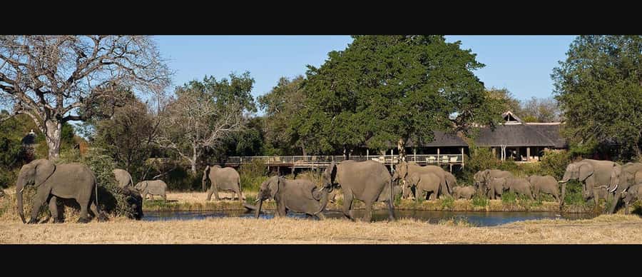 10 Day South Africa Tour Joburg to Cape Town - Durban city tour, warm coastal energy with a guided reset