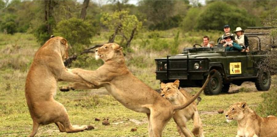 10 Day South Africa Tour Joburg to Cape Town - Drakensberg hiking from the Monks Cowl area