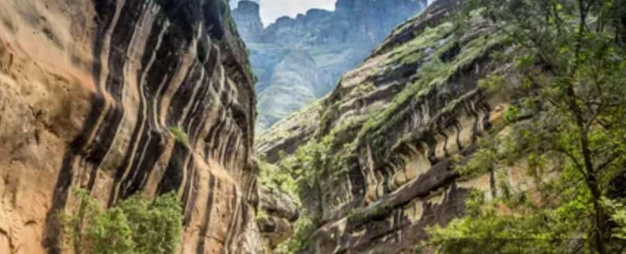 10 Day South Africa Tour Joburg to Cape Town - Robberg Nature Reserve hike and coastal Cape vibes before Knysna