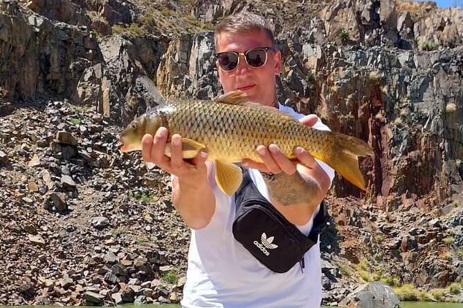 100 % Catch Rate Cape Town Wild Tours - The Catch-and-Release System, and Why It’s Not a Downer