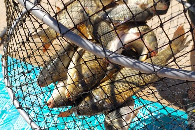 100 % Catch Rate Cape Town Wild Tours - The Fish Guarantee: How “100% Catch Rate” Really Feels