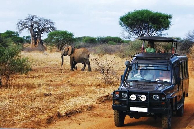 13 Day Safari - Cape Town to Johannesburg - Cape Town to Johannesburg: why this combo works so well