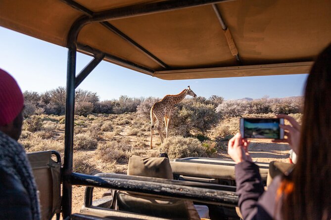 2 Day Inverdoorn Luxury Safari - Big 5 in a malaria-free corner near Ceres and the Little Karoo