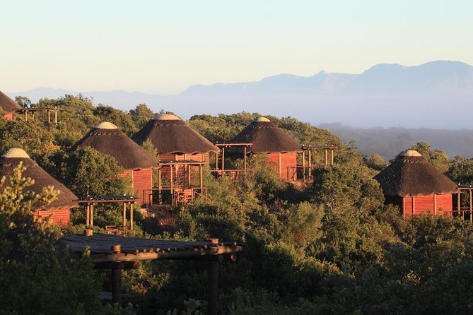 2 Day Safari Experience from Cape Town - Day 1: Cape Agulhas, then sunset safari at the Garden Route Game Lodge