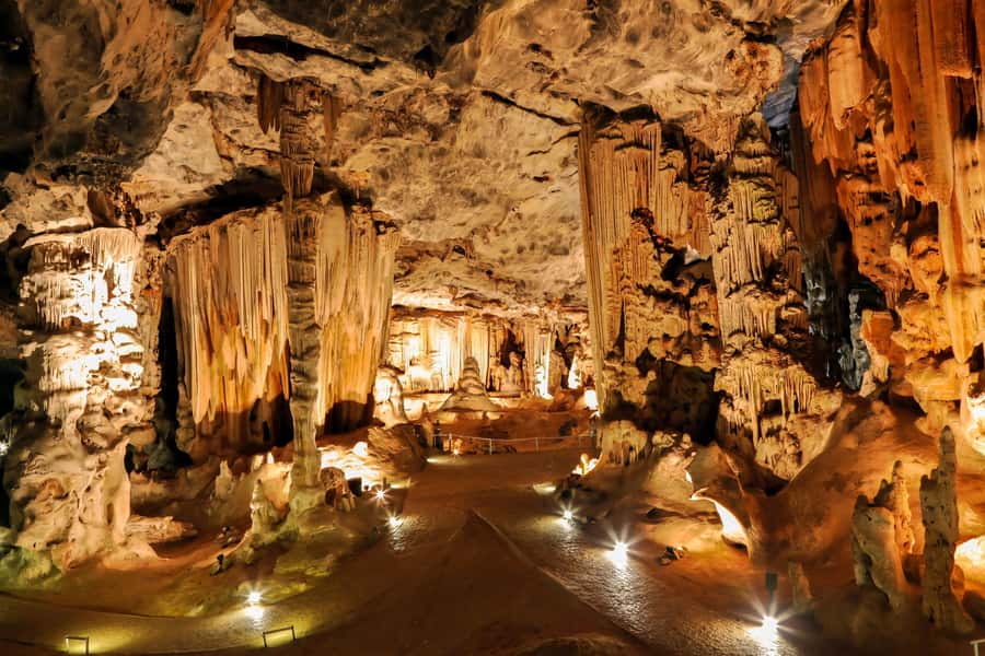 2 Day Small Group Cape Town: Garden Route Big 5 Safari Tour - Key Points Worth Knowing Before You Go