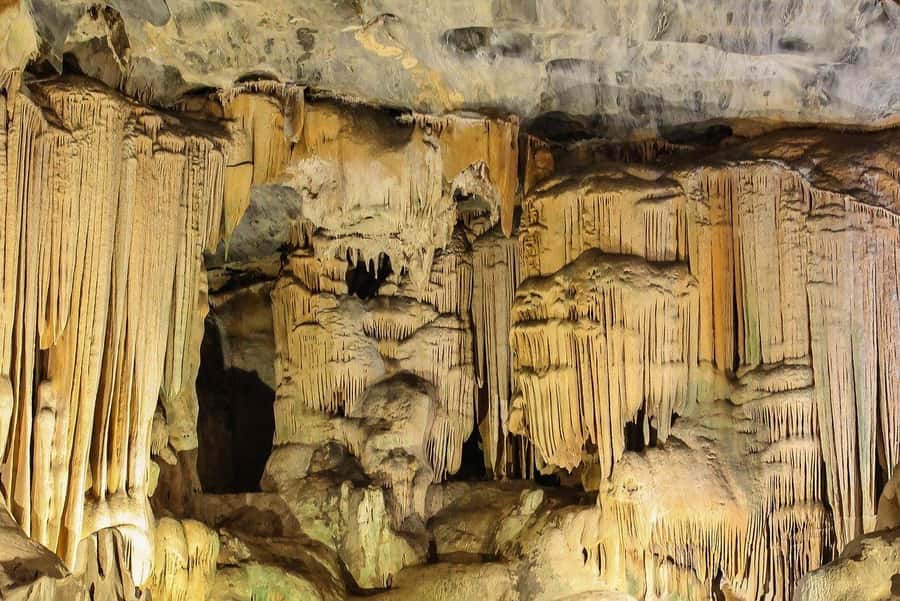 2 Day Small Group Cape Town: Garden Route Big 5 Safari Tour - A Fast, Focused Route From Cape Town to Oudtshoorn