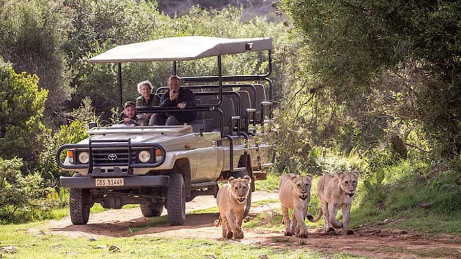 2 Day Small Group Cape Town: Garden Route Big 5 Safari Tour - Entering the Cango Caves With a Guided 1-Hour Heritage Tour