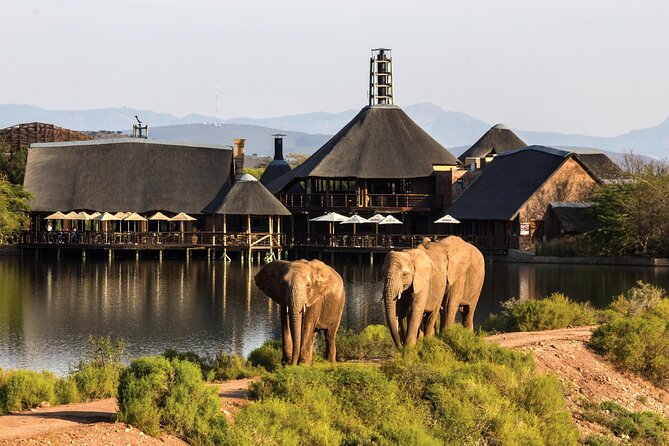 2 Day Small Group Garden Route Big 5 Safari Tour from Cape Town - Chandelier Game Lodge Overnight: Real Bush Time Plus Giraffes and Ostriches in the Morning