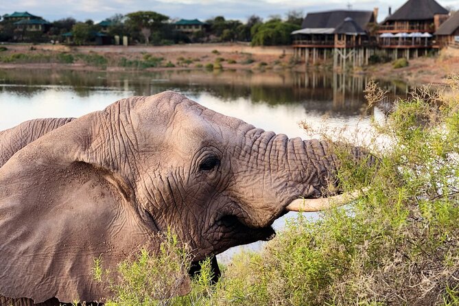 2 Day Small Group Garden Route Big 5 Safari Tour from Cape Town - Who This Tour Suits Best (and Who Might Prefer Something Else)