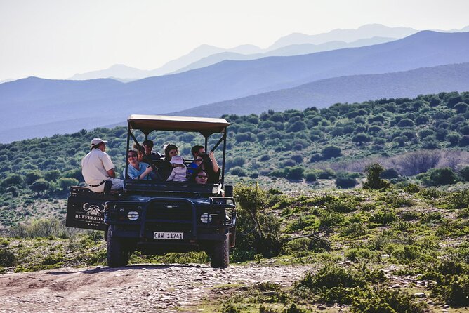 2 Day Small Group Garden Route Big 5 Safari Tour from Cape Town - Buffelsdrift Afternoon Safari: Lunch, Elephant Time, Then a 4x4 Wildlife Hunt