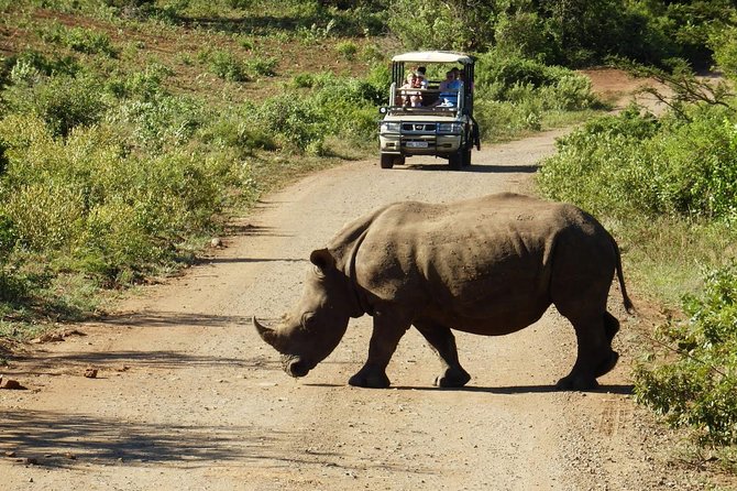 2 Day South African Wildlife Tour with 4x4 Safari from Cape Town - Cape Town to Klein Karoo: what the big drive is really like
