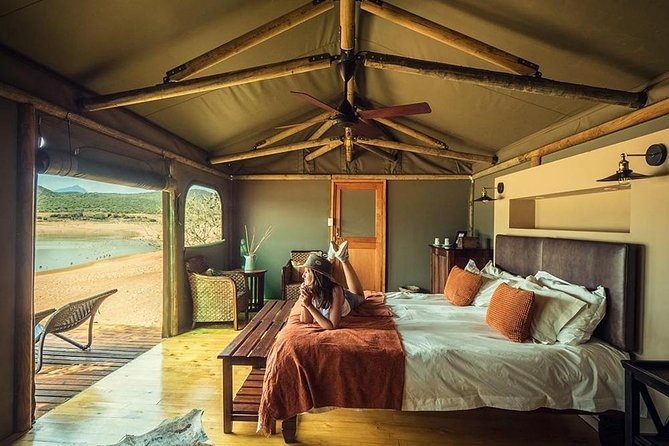 2 Day Wild Heart Western Cape Safari Tour with Private Transfers - Who this Western Cape safari suits best, and who should rethink it