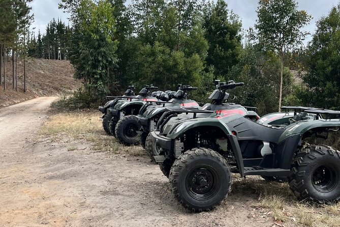 2-Hour Quad Biking Guided Excursion Through the Knysna Forests - Meeting at Heads Up Coffee, Then a Scenic Transfer Begins