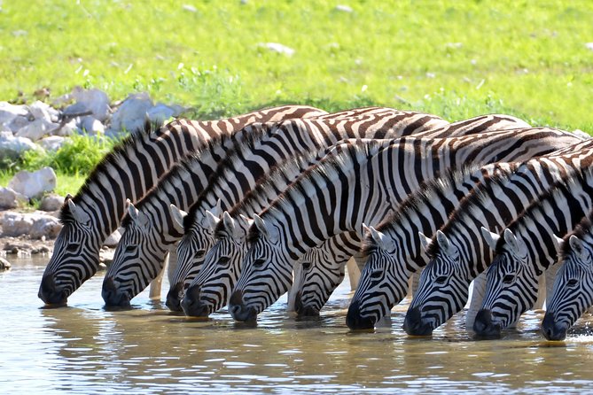 2-Nights 5-star Sanbona Game Reserve with private transfers to and from Sanbona - Key highlights worth planning around