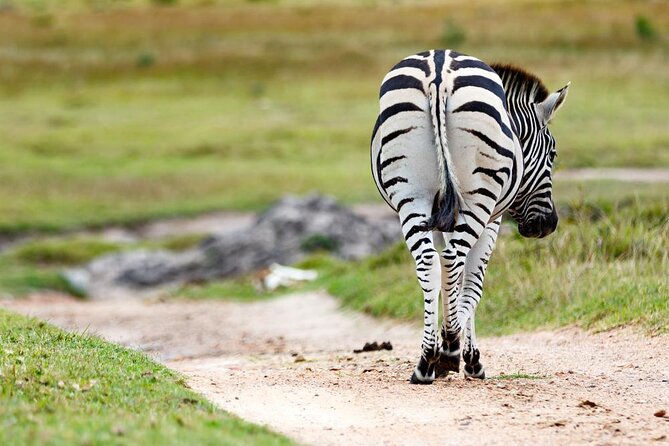 2hr Guided Game Drive at 10h00; Kragga Kamma Game Park Ticket - Key points to know before you go