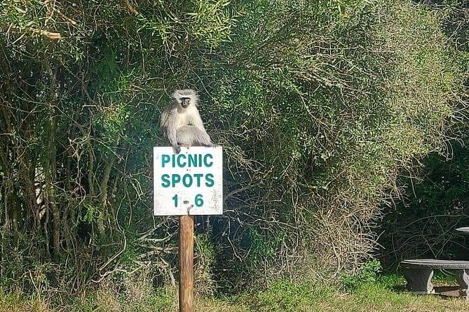 2hr Guided Game Drive at 10h00; Kragga Kamma Game Park Ticket - Cheetah time: great chance to see one, but it is not pure wilderness