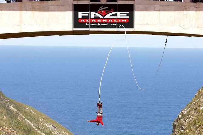 3 Day Big 5 and Bungee Tour - Garden Route Small Group Tour from Cape Town - Key things to know before you go