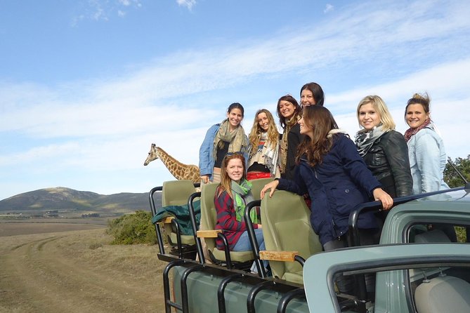 3 Day Big 5 and Bungee Tour - Garden Route Small Group Tour from Cape Town - Cape Town to the Garden Route fast, with a 5:00 am reality check