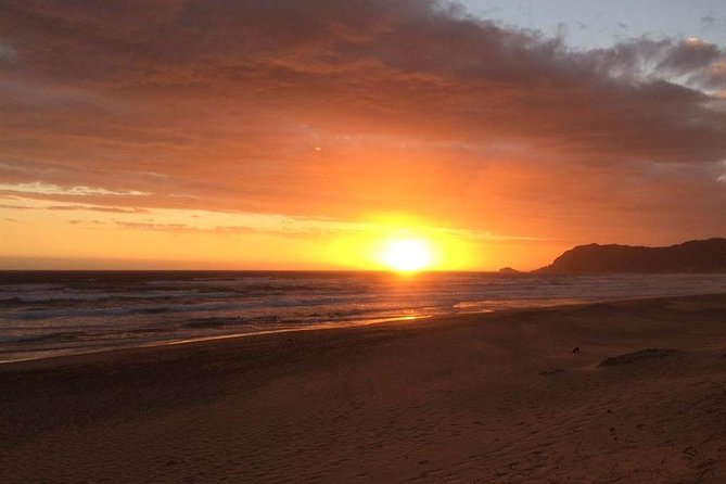 3 Day Big 5 and Bungee Tour - Garden Route Small Group Tour from Cape Town - Monkeyland and the primate option you can skip