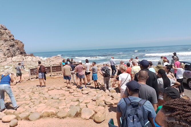 3 Day Cape Town Holiday South Africa - Boulders Beach Penguin Colony: the short wildlife stop that hits hard