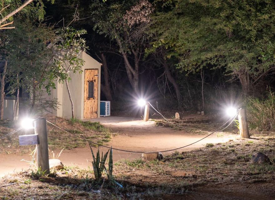 3 Day Dumela Tented Camp Safari - Why this 3-day Dumela tented camp safari is a smart budget play