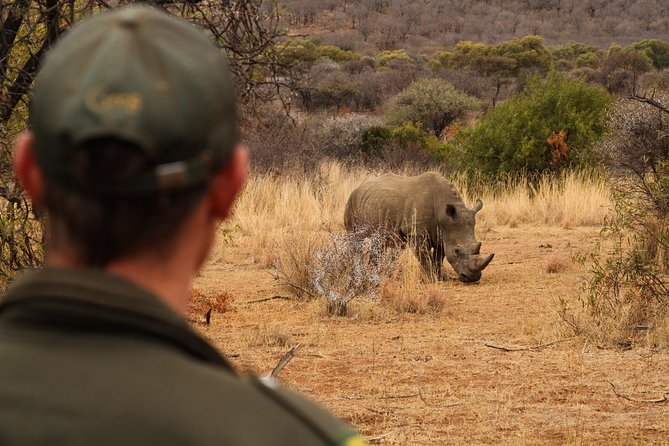 3 Day Garden Route Highlights and Safari with Private Transfers - Day 3: Botlierskop Big Five Safari and the Return to Cape Town