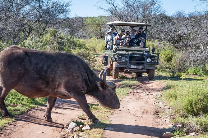 3 Day Garden Route Highlights and Safari with Private Transfers - Who This Tour Suits Best