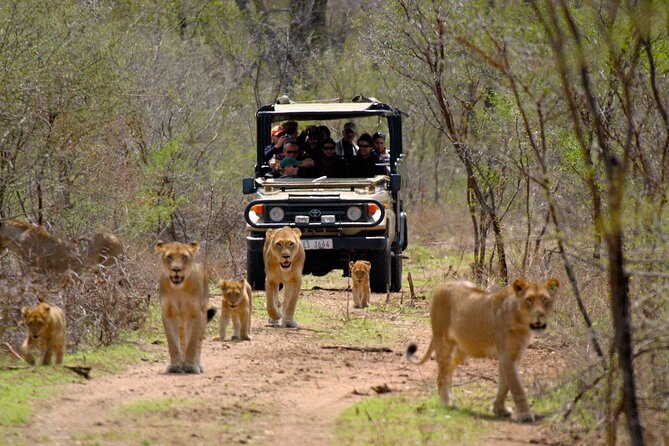 3 Day Garden Route Private Tour - Key things I’d zero in on before you book