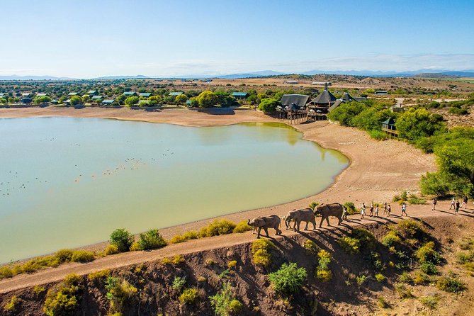 3 Day Garden Route's Best Highlights with Safari from Cape Town - Day 3 safari at Botlierskop: a last 4x4 wildlife hunt before heading back