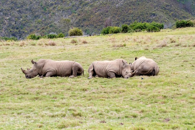 3 Day Garden Route's Best Highlights with Safari from Cape Town - Price and value: why $366.62 can work if you price the pieces