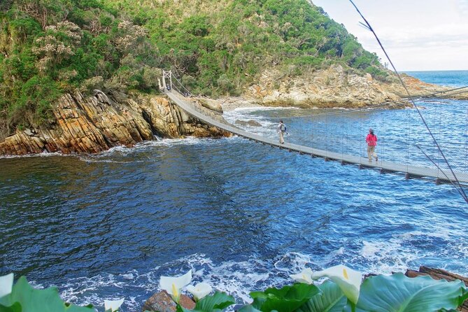 3 Day Garden Route's Best Highlights with Safari from Cape Town - Day 1 on Route 62: Cango Caves and Oudtshoorn downtime