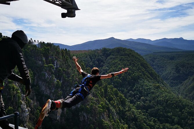 3 Day Garden Route Safari - Tsitsikamma Nature Valley hike plus optional Bloukrans adrenaline