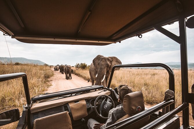 3 Day Garden Route Tour - Day 2: Knysna Heads cruise, Monkeyland, and Elephant Sanctuary