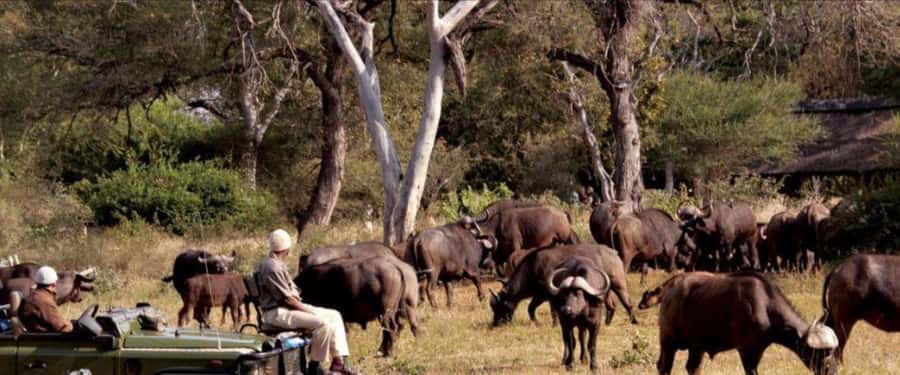 3 Day Hluhluwe & Isimangaliso Wetlands Pk Tour from Durban - Key highlights that make this tour stand out