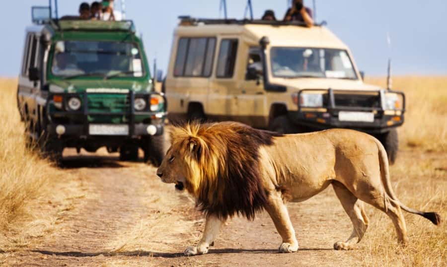 3 Day Hluhluwe & Isimangaliso Wetlands Pk Tour from Durban - Small group pace, pickups, and what to pack for a smooth safari