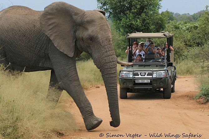 3-Day Kruger National Park Open Vehicle Safari - Why a small-group, open-vehicle safari changes everything